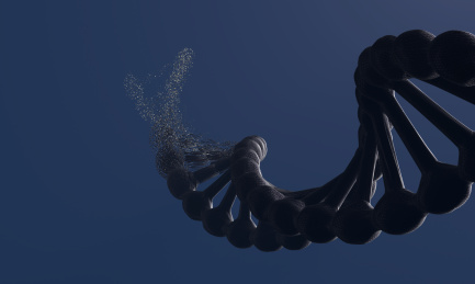 变异的DNA结构，生物体升级与蜕变