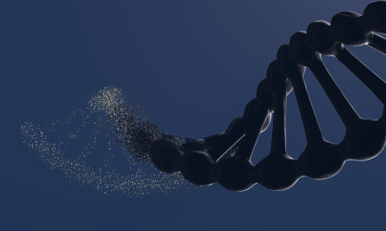 变异的DNA结构，生物体升级与蜕变