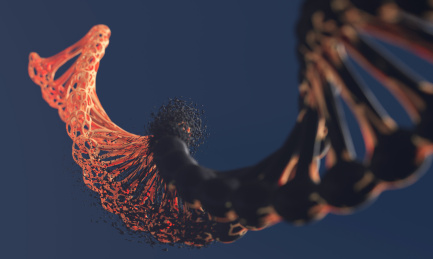 变异的DNA结构，生物体升级与蜕变