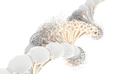 变异的DNA结构，生物体升级与蜕变