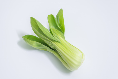 白背景上的一棵上海青小白菜