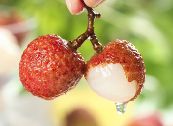 手上拿着两个荔枝王