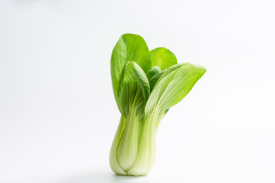 白背景上的上海青小白菜