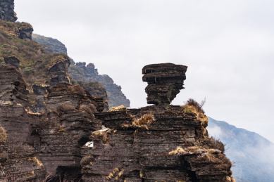 雾中的梵净山老金顶 