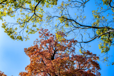 天平山风景区苏州木渎古镇天平山