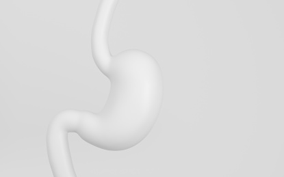 胃和消化道 3D渲染