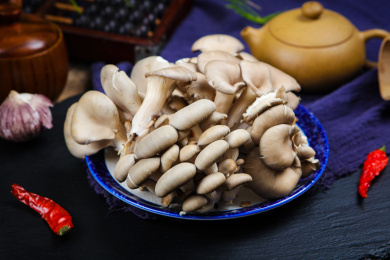 菌类食材新鲜平菇