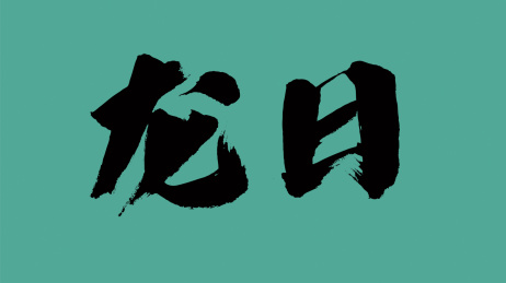 中国风书法汉字字体设计龙日