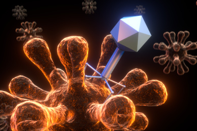 噬菌体消灭细菌