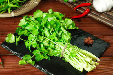 黑石板上放着一捆农家新鲜香菜