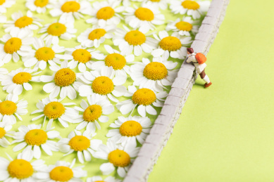 户外的旅行者春天小长假徒步观赏花海