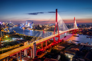 上海杨浦大桥