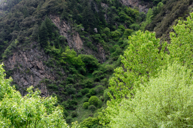 中国四川阿坝州马尔康梭磨河大峡谷风光