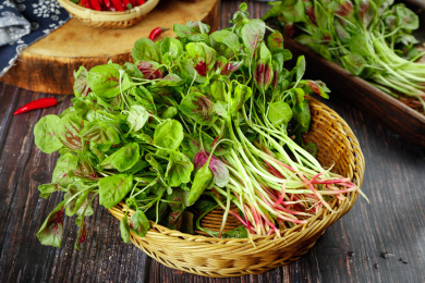 木底蓝子里放着有机红苋菜