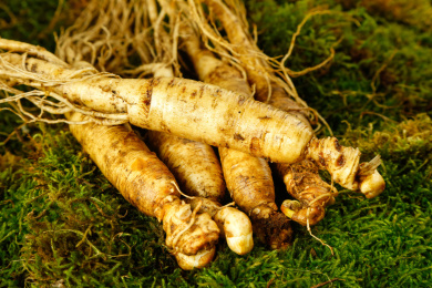 草地上放着带土鲜人参