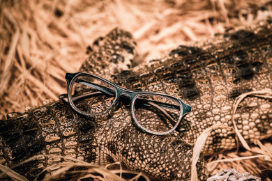 暗色桌面上放着一付眼镜架