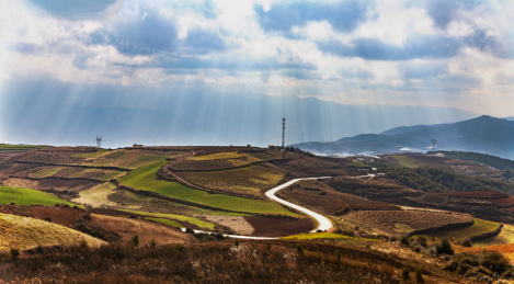 云南东川红土地瓦房梁子的晨曦中的的原野