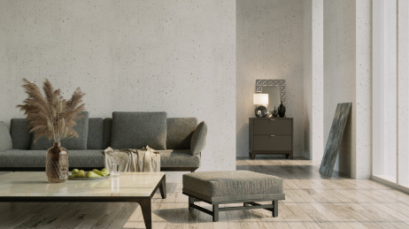 3d渲染家居室内设计题材客厅的沙发