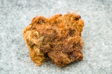 清肝利胆中药材玉米须茶