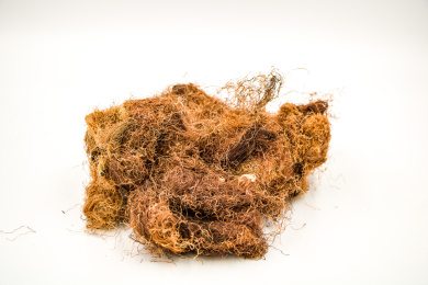 清肝利胆中药材玉米须茶