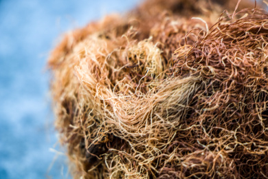 清肝利胆中药材玉米须茶