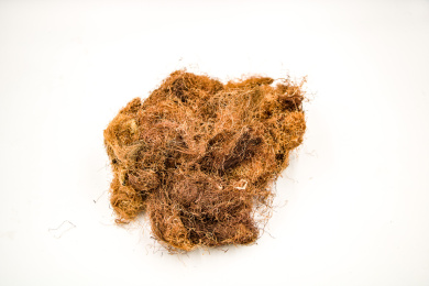 清肝利胆中药材玉米须茶