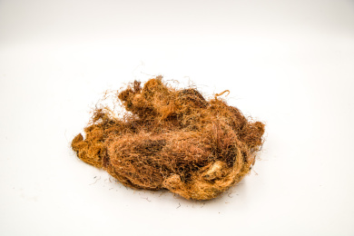 清肝利胆中药材玉米须茶