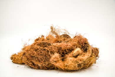 清肝利胆中药材玉米须茶