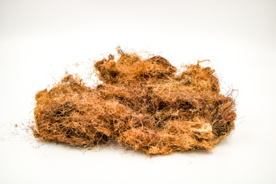 清肝利胆中药材玉米须茶