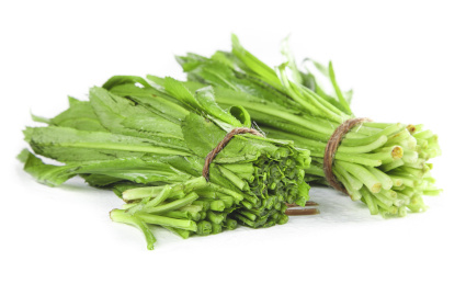 白底上放着两把刺芫荽