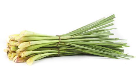 白底上放着泰国香茅草