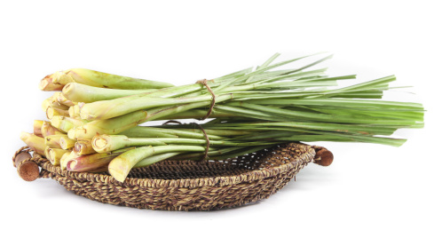 白底上放着一蓝新鲜香茅草