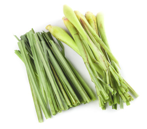 白底上放着泰国香茅草