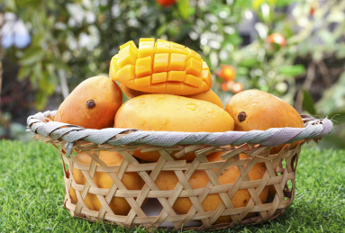 绿色草坪上放着一蓝台农芒