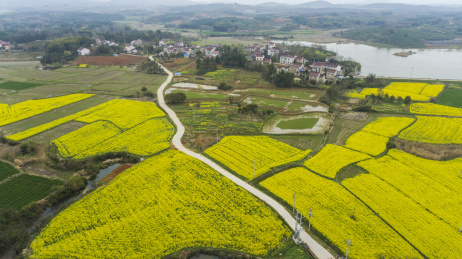 航拍乡村田园春色