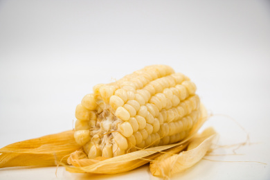 五谷杂粮玉米苞米粮食作物