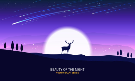 星空流星鹿夜晚夜景背景插画插图设计