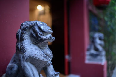 成都宽窄巷子的石狮子