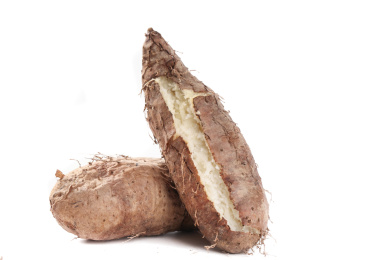 白底上的高州毛薯