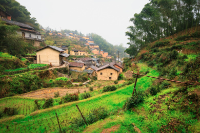 浙江丽水市横岗村乡村农田风光