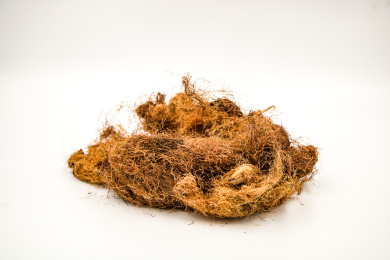 清肝利胆中药材玉米须茶