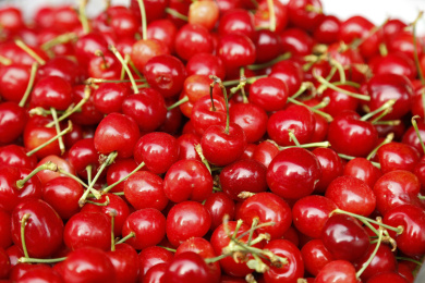 一堆国产樱桃背景