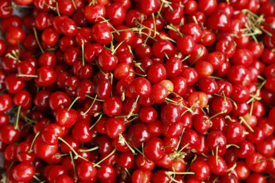 一堆国产樱桃背景