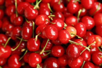 一堆国产樱桃背景