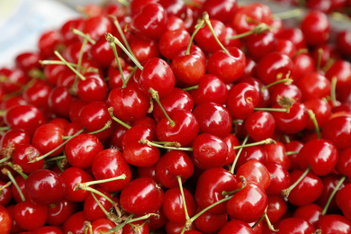 一堆国产樱桃背景