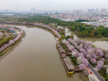 广州海珠国家湿地公园航拍