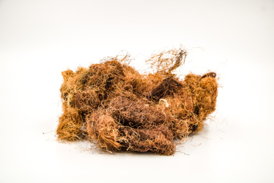 清肝利胆中药材玉米须茶