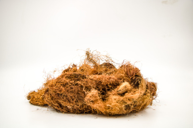 清肝利胆中药材玉米须茶