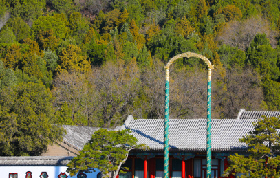 颐和园水木自亲殿码头灯杆