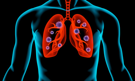 病毒感染人体的肺部